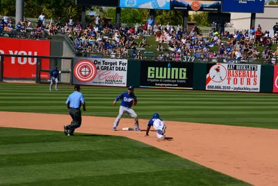 DSC_1803 (Large).JPG